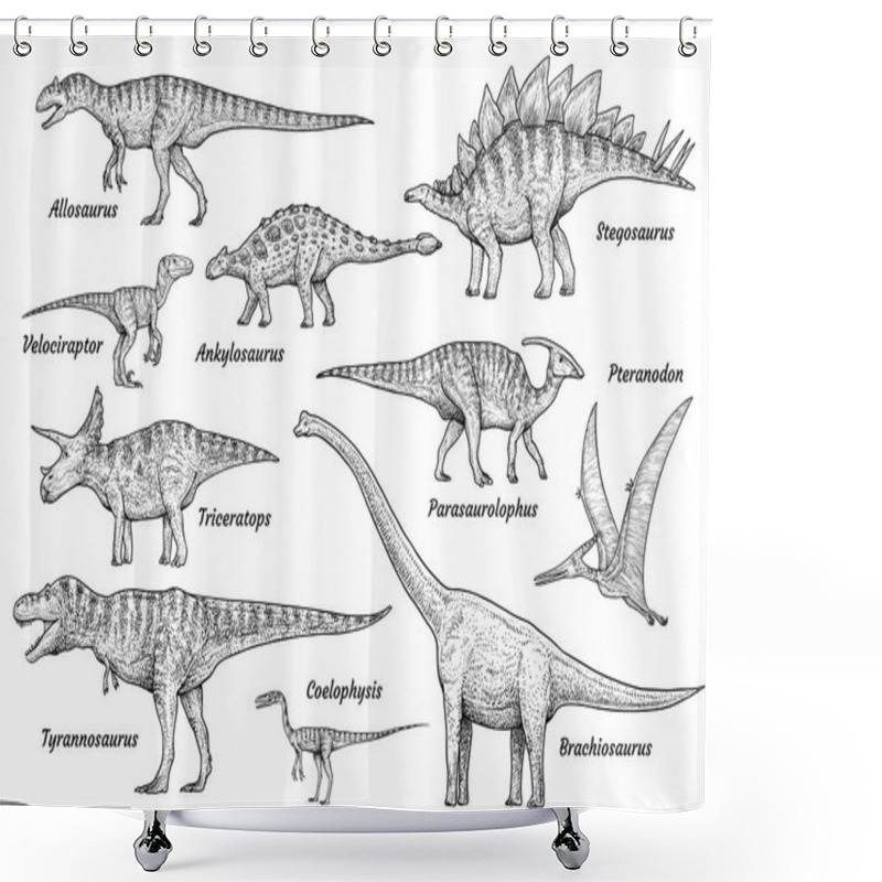 Personality  Dinosaur Collection, Illustration, Drawing, Engraving, Ink, Line Art, Vector Shower Curtains