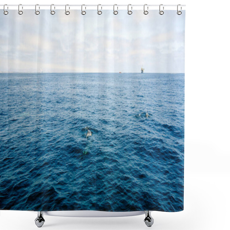 Personality  Dolphins Near Channel Islands, California Shower Curtains