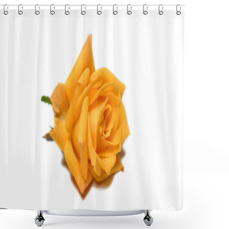 Personality  Yellow Rose Isolated On White Background  Shower Curtains