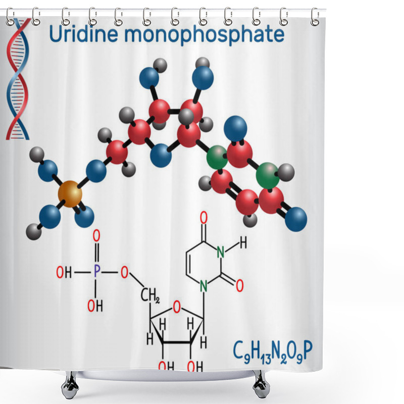 Personality  Uridine Monophosphate UMP Nucleotide Molecule, Monomer In RNA. Structural Chemical Formula And Molecule Model Shower Curtains