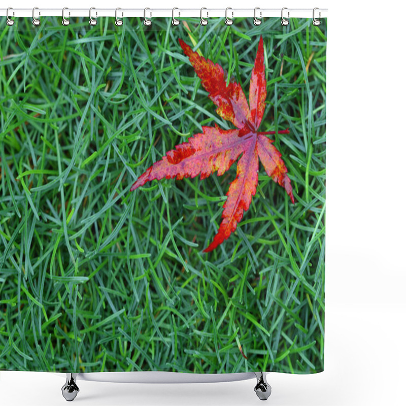 Personality  Red Fall Leaf Shower Curtains