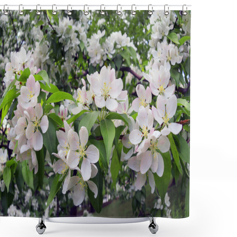 Personality  Pear Shining Delicate Flowers Shower Curtains