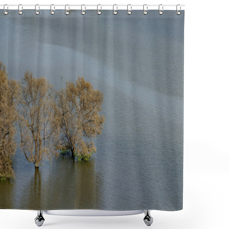 Personality  A Serene Scene Of Mangrove Trees Partially Submerged In Calm Coastal Waters, Showcasing Natural Beauty And Ecological Significance. Ideal For Projects Related To Nature Conservation, Wetlands, Environmental Themes, And Tranquil Landscapes Shower Curtains