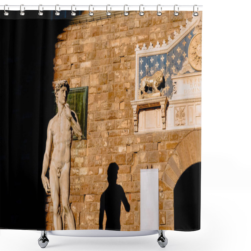 Personality  David Shower Curtains