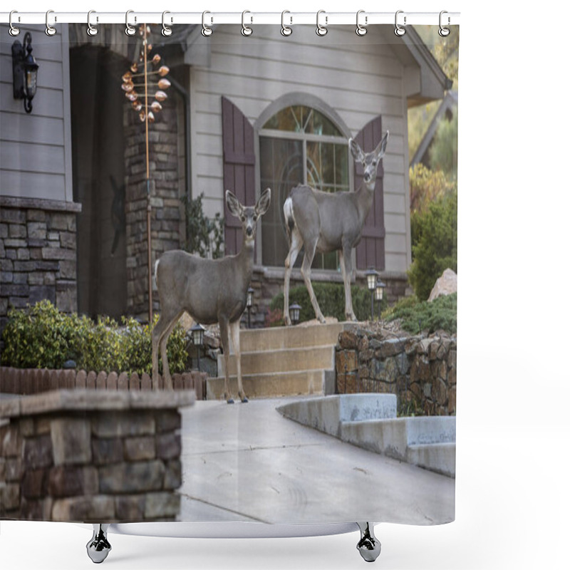 Personality  Two Deear Standing In Front Of A Residence In Prescott Arizona Early In The Morning Shower Curtains