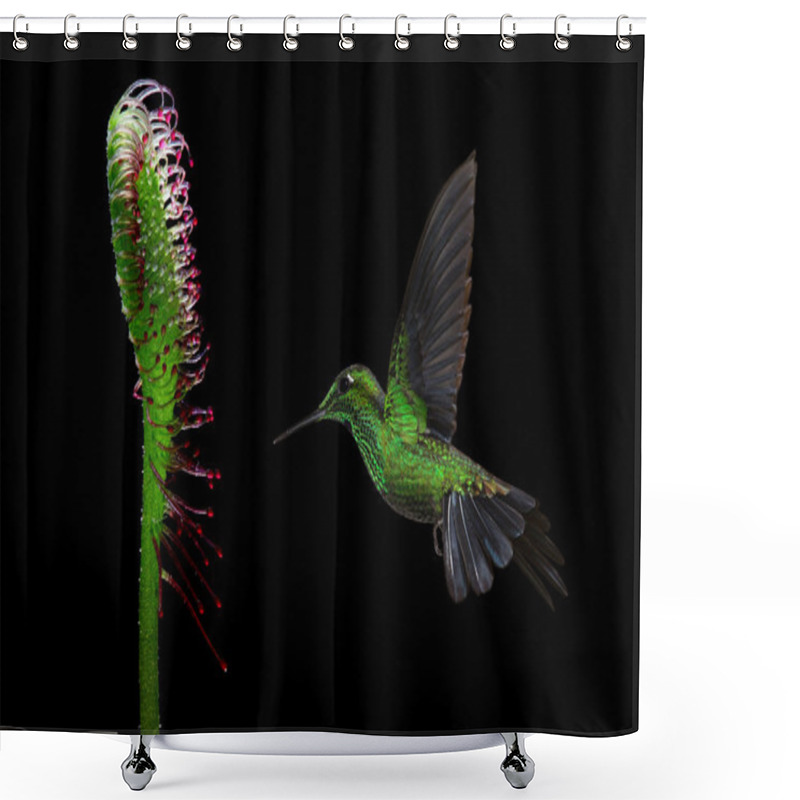 Personality  Humming Bird Flying Against Black Background Shower Curtains