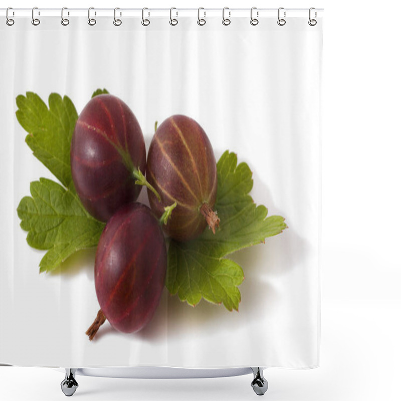 Personality  Gooseberries Isolated On A White Background Shower Curtains