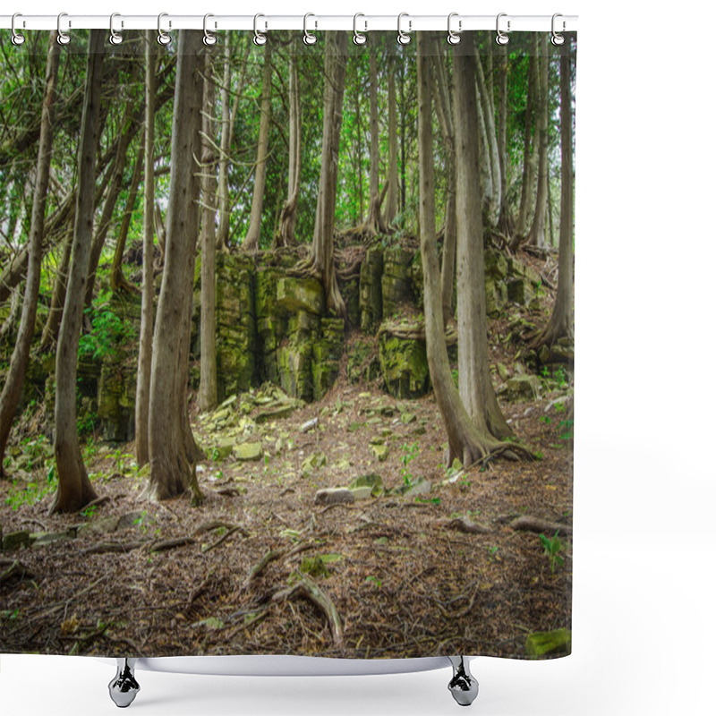 Personality  Cedar Forest In Northern Michigan Shower Curtains