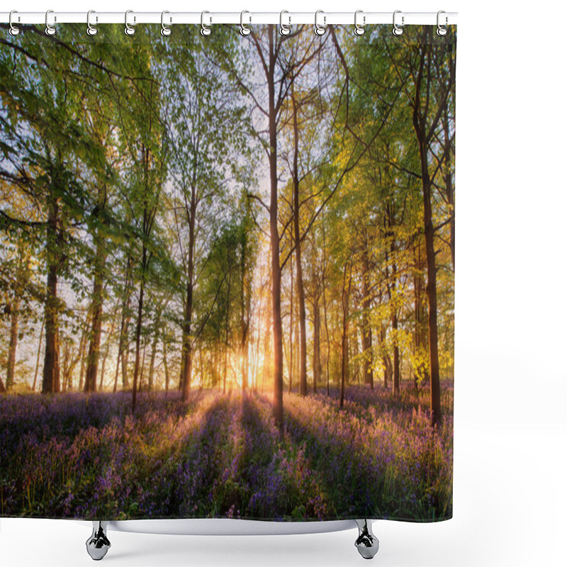 Personality  Bluebells Forest At Sunrise In English Landscape  Shower Curtains