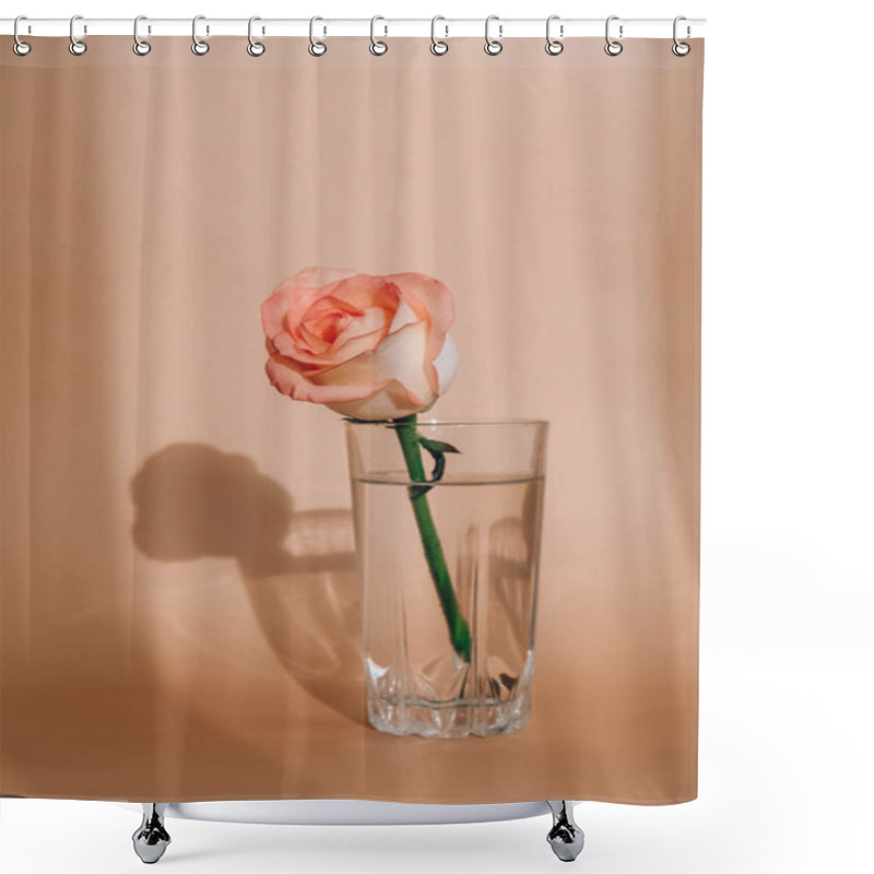 Personality  Tender Pink Rose On Vase On Beige Background. Deep Shadows Minimal Composition. Abstract Art Idea. Romantic Pastel Pink Rose Flower. Modern Aesthetic. Neutral Earth Tones Vertical Shower Curtains