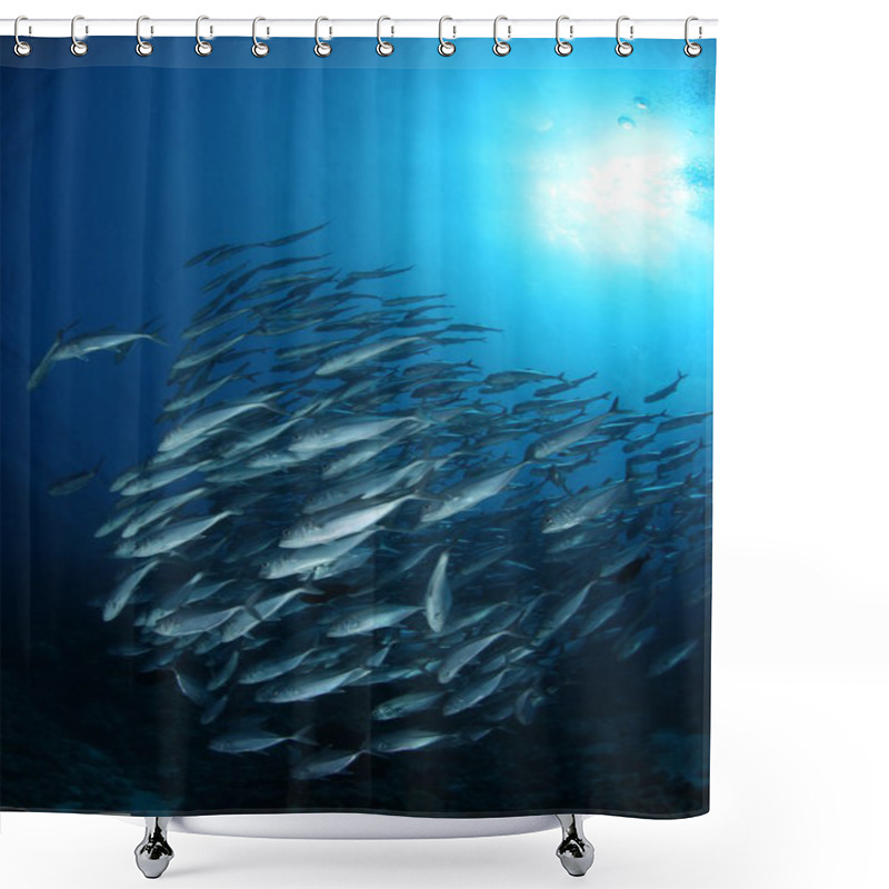 Personality  Coral Life Diving Indonesia Sea Ocean Shower Curtains