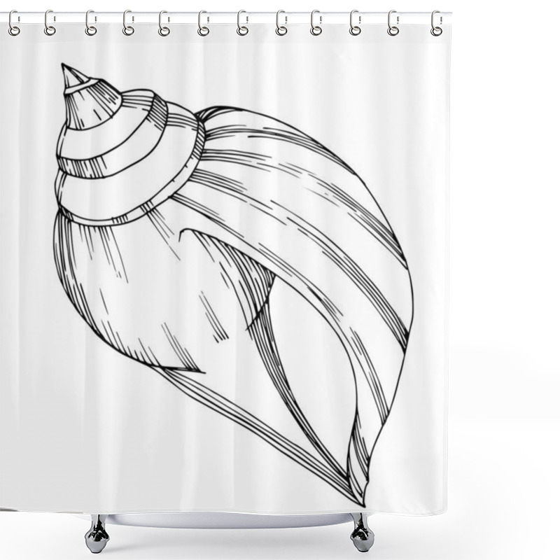 Personality  Vector Summer Beach Seashell Tropical Elements. Black And White  Shower Curtains