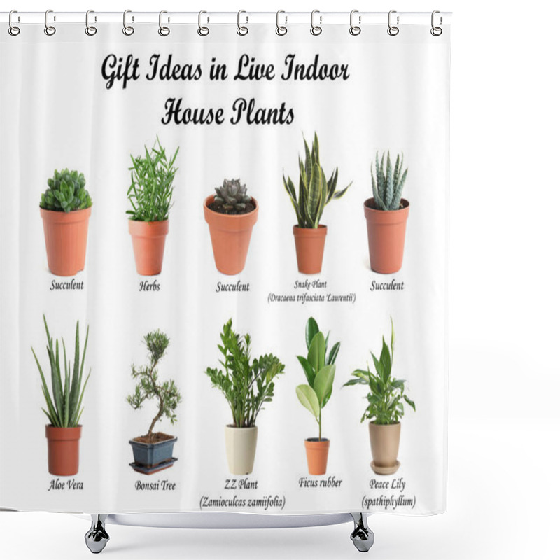 Personality  Set Of Different Houseplants On White Background. Best Gifts For Plant Lovers  Shower Curtains