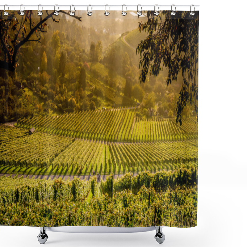 Personality  Vineyards And Paths To Wander Through Them Shower Curtains