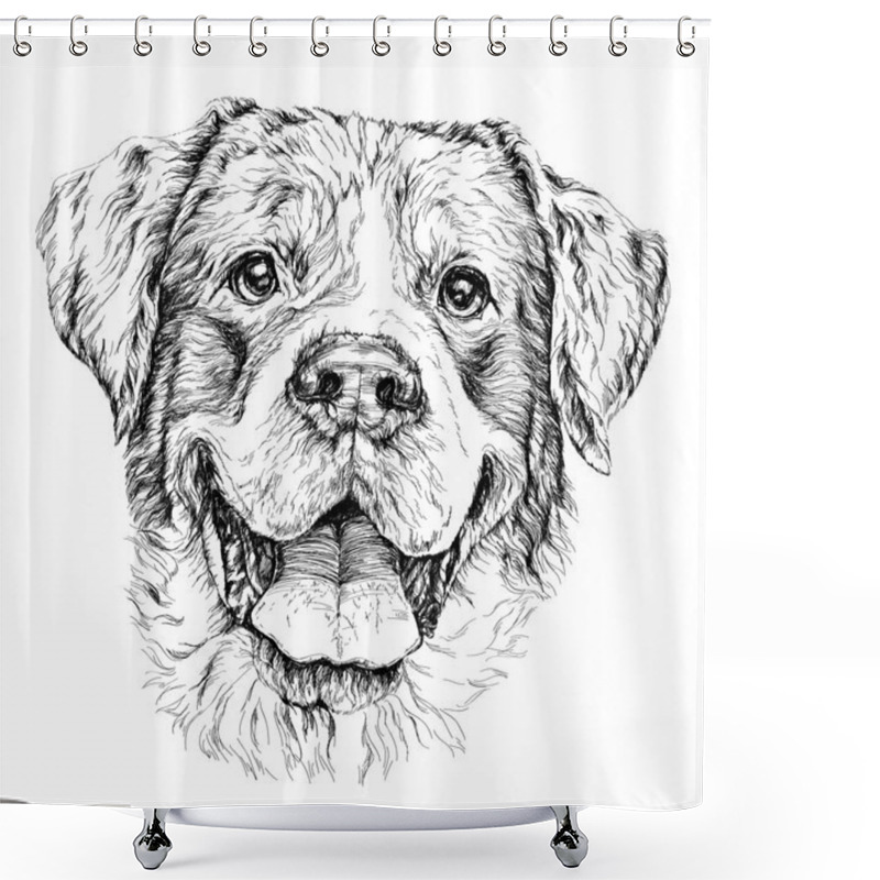 Personality  Sketch Of Funny Shepherd Dog Shower Curtains