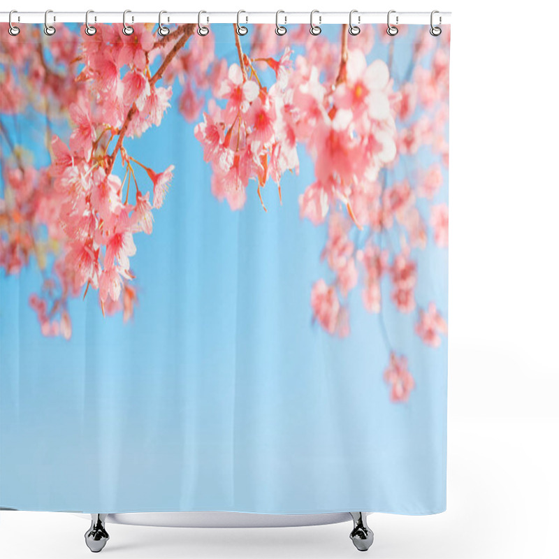 Personality  Beautiful Sakura Flower (cherry Blossom) In Spring. Sakura Tree Flower On Blue Sky.  Shower Curtains