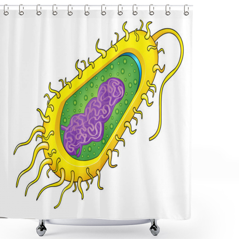 Personality  Bacteria Cell Shower Curtains