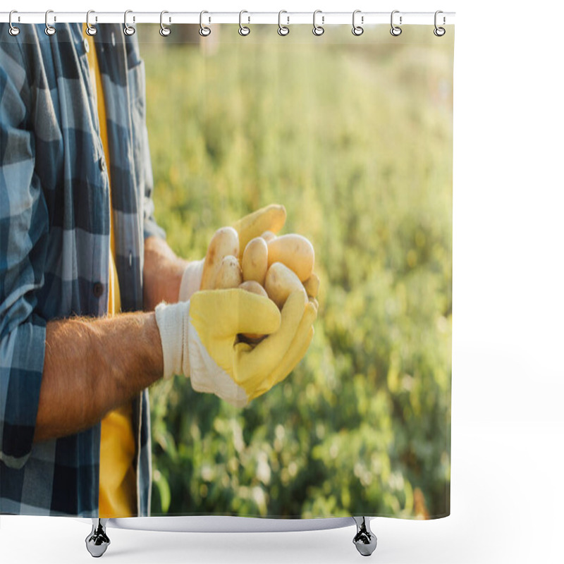 Personality  Cropped View Of Farmer In Plaid Shirt And Gloves Holding Fresh Potatoes In Cupped Hands Shower Curtains