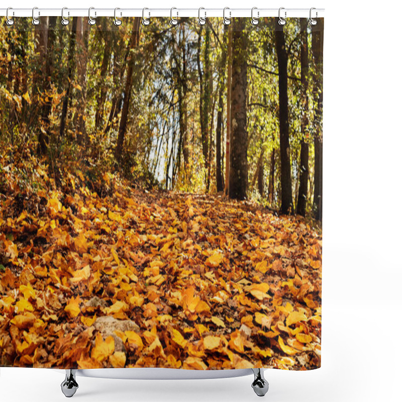 Personality  Woodland In Autumn , Falle Leaves On Footpath , Shower Curtains