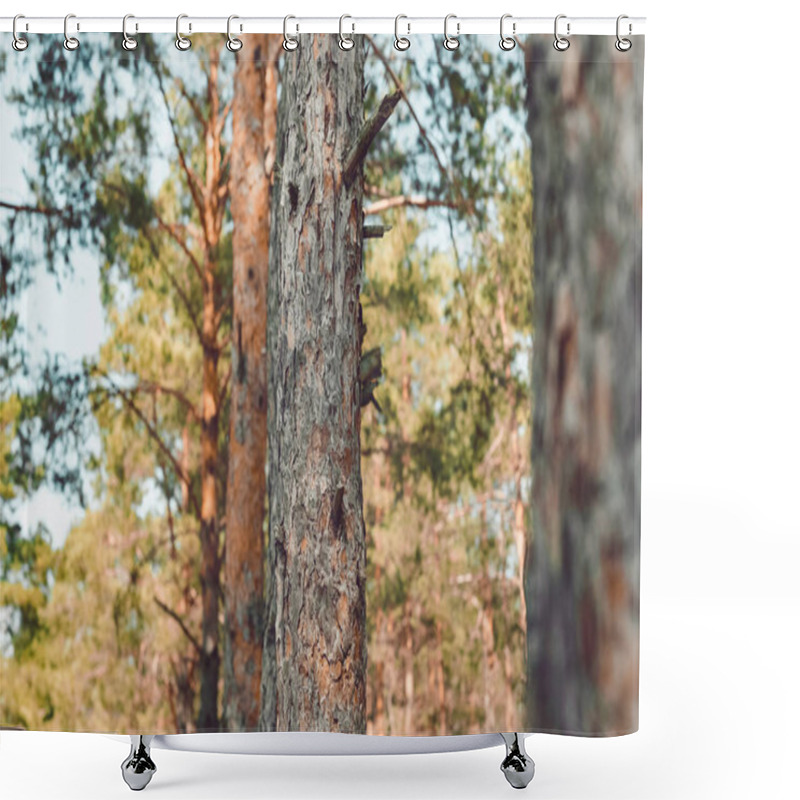 Personality  Close Up View Of Pine Trees In Forest On Summer Day Shower Curtains