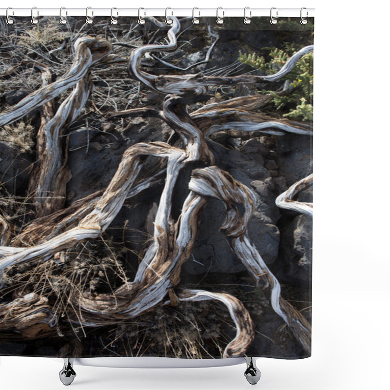 Personality  Dried Branches In La Palma Caldera De Taburiente Shower Curtains