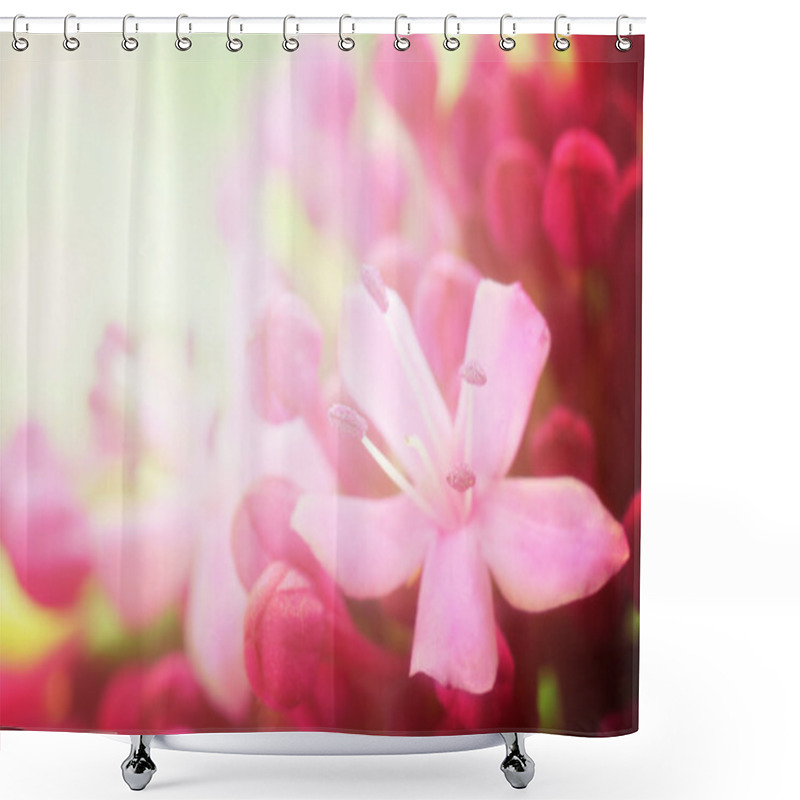 Personality  Flower Background Shower Curtains