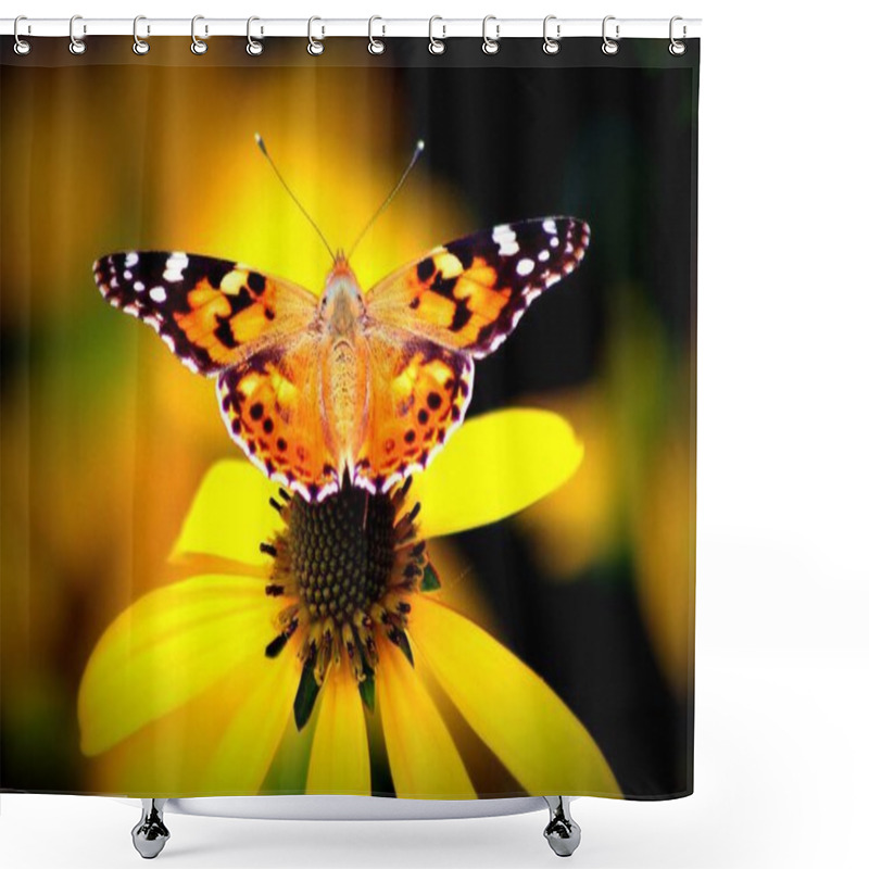 Personality  Vanessa Cardui Butterfly ( Echinacea Purpurea ) Shower Curtains