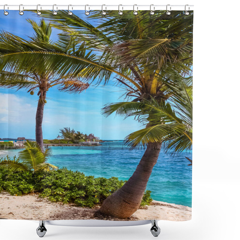 Personality  Tropical Island In Bahamas. View On The Beach With Palm Tree. Vacation Destination. Shower Curtains