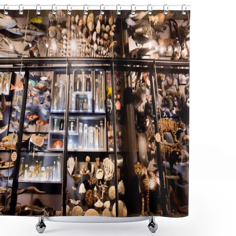 Personality  Installation With Specimens Of Extinct Animals And Modern InMuseum Fur Naturkunde Shower Curtains