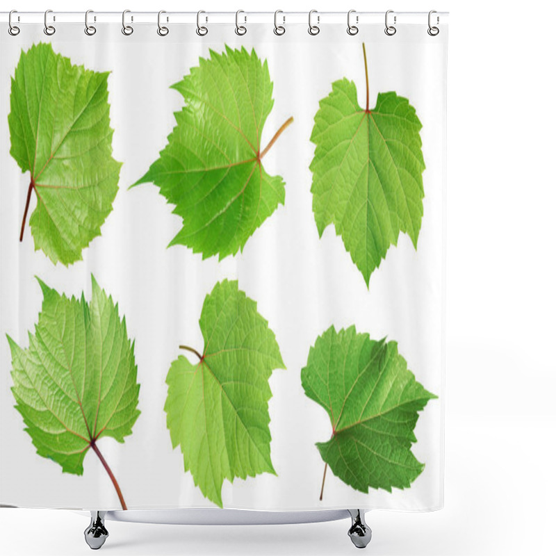 Personality  Set Of Green Grape Leaves On White Background. Banner Design  Shower Curtains