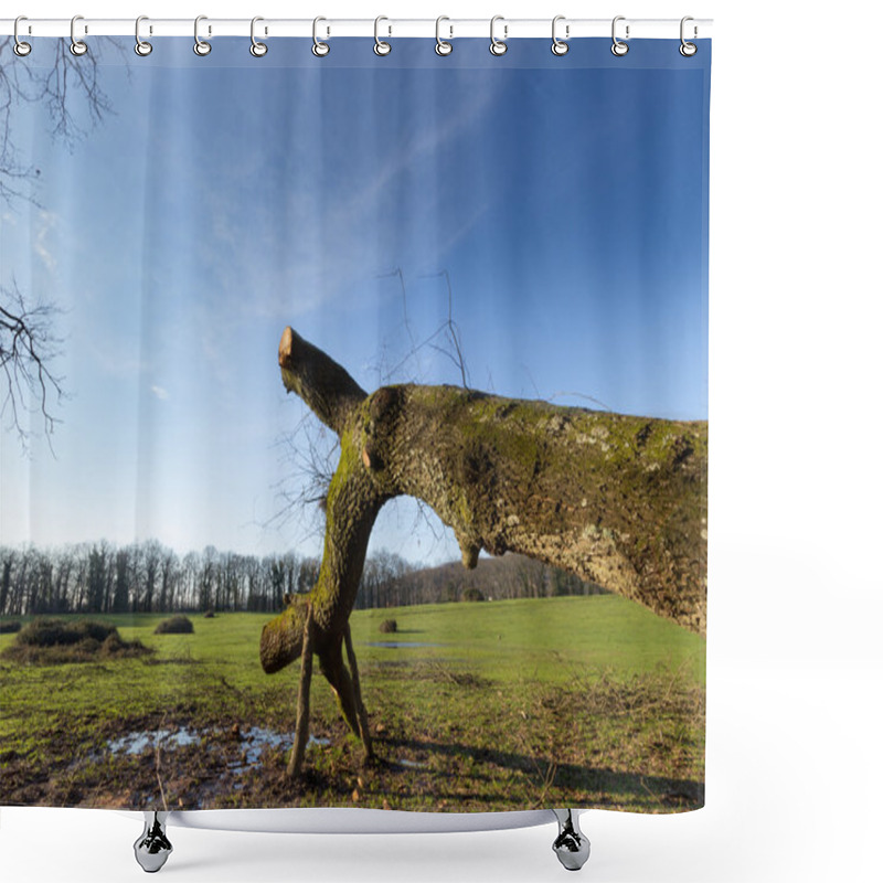 Personality  Fallen Trunk Shower Curtains