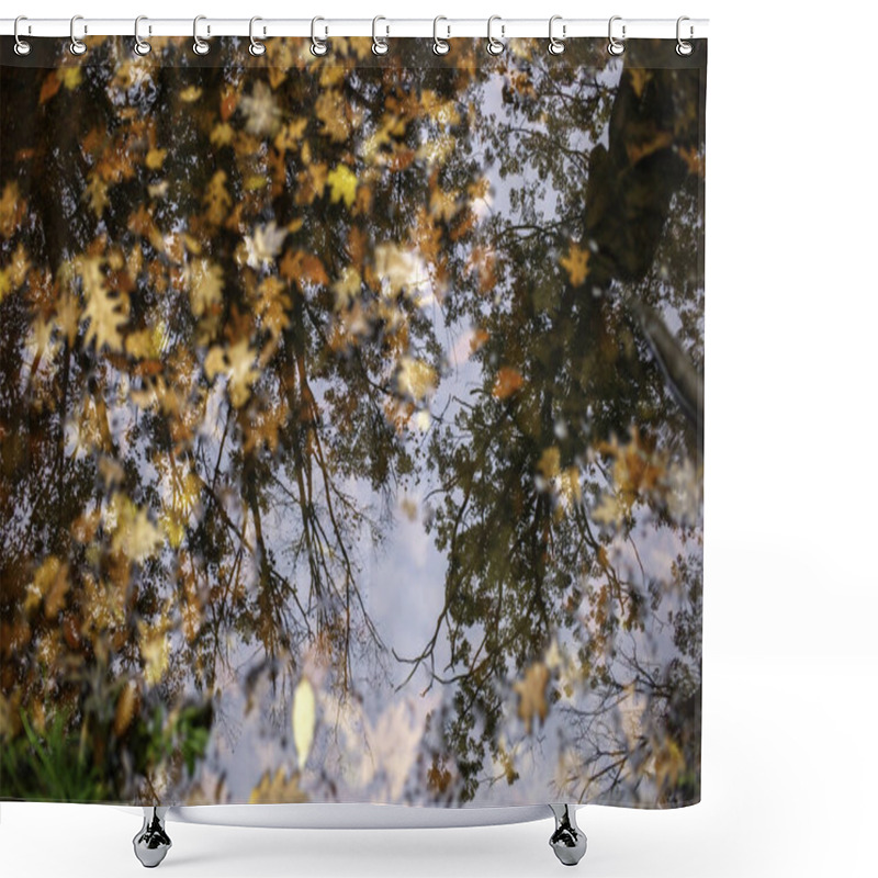 Personality  Autumn Collage Of Earth Toned Leaves Floating In Water Shower Curtains