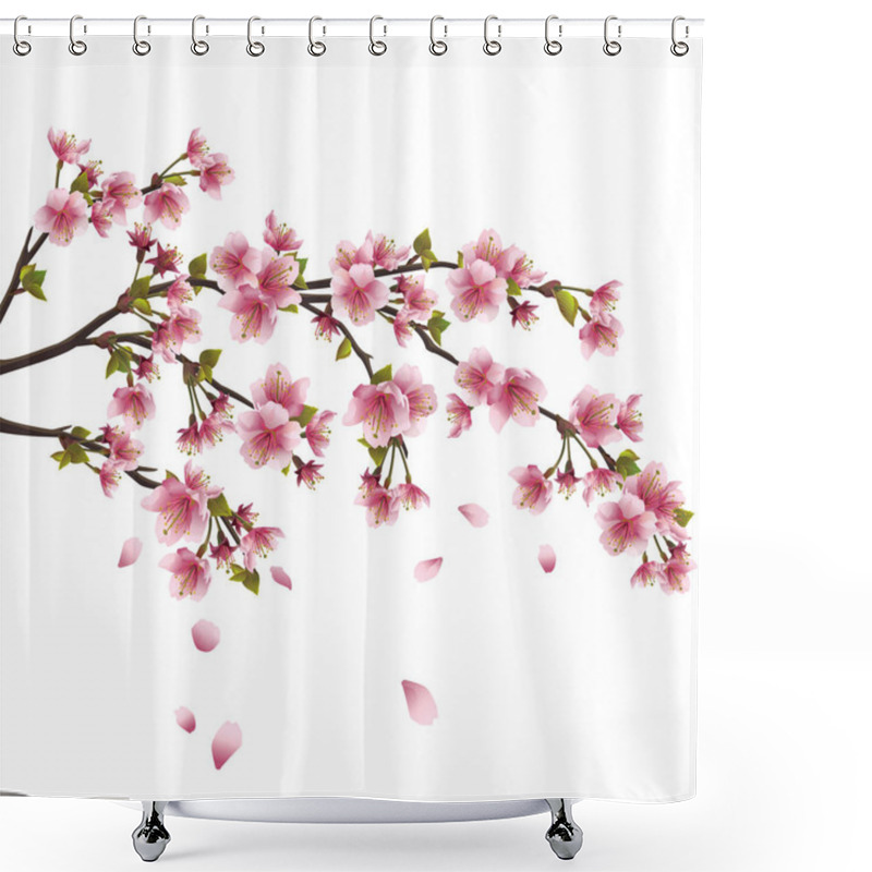 Personality  Sakura Blossom - Japanese Cherry Tree Isolated On White Backgrou Shower Curtains