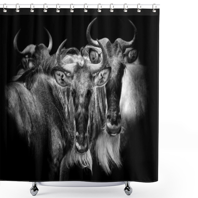 Personality  Wildebeest On Dark Background Shower Curtains