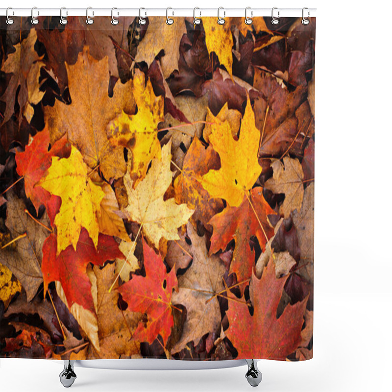 Personality  Fall Leaves Background Shower Curtains