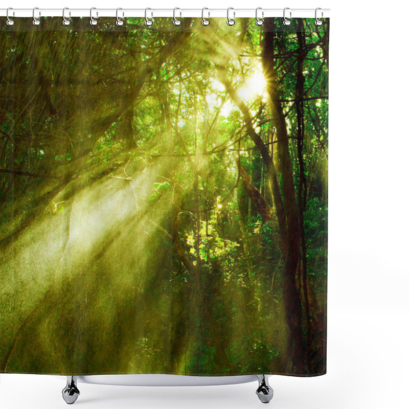 Personality  Autumn Forest Shower Curtains