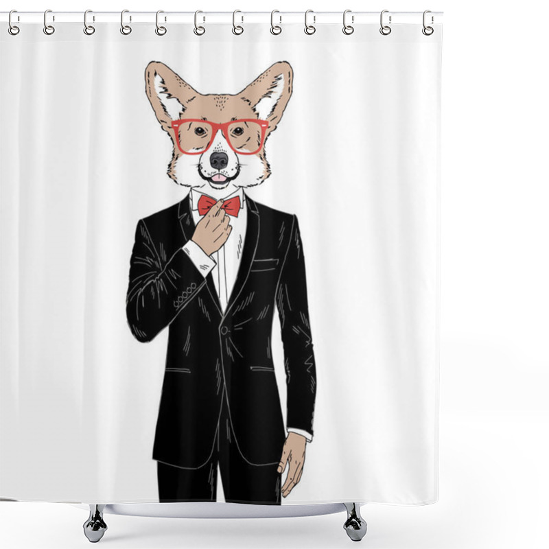 Personality  Humanized Welsh Corgi Breed Dog Dressed Up In Classy Outfits. Shower Curtains