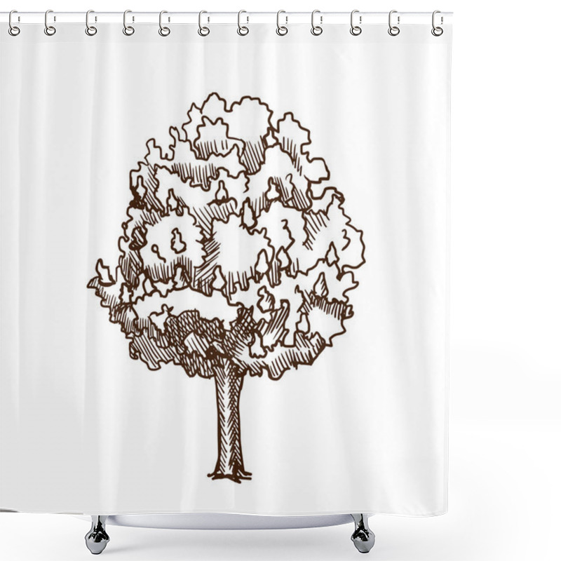 Personality  Linden Tree With Leaves And Flowers, Summer Motifs Of Nature. Shower Curtains