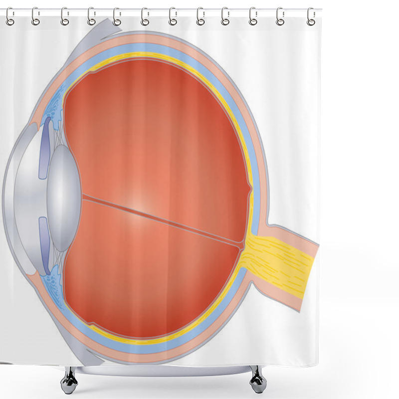 Personality  Structures Of The Human Eye Shower Curtains