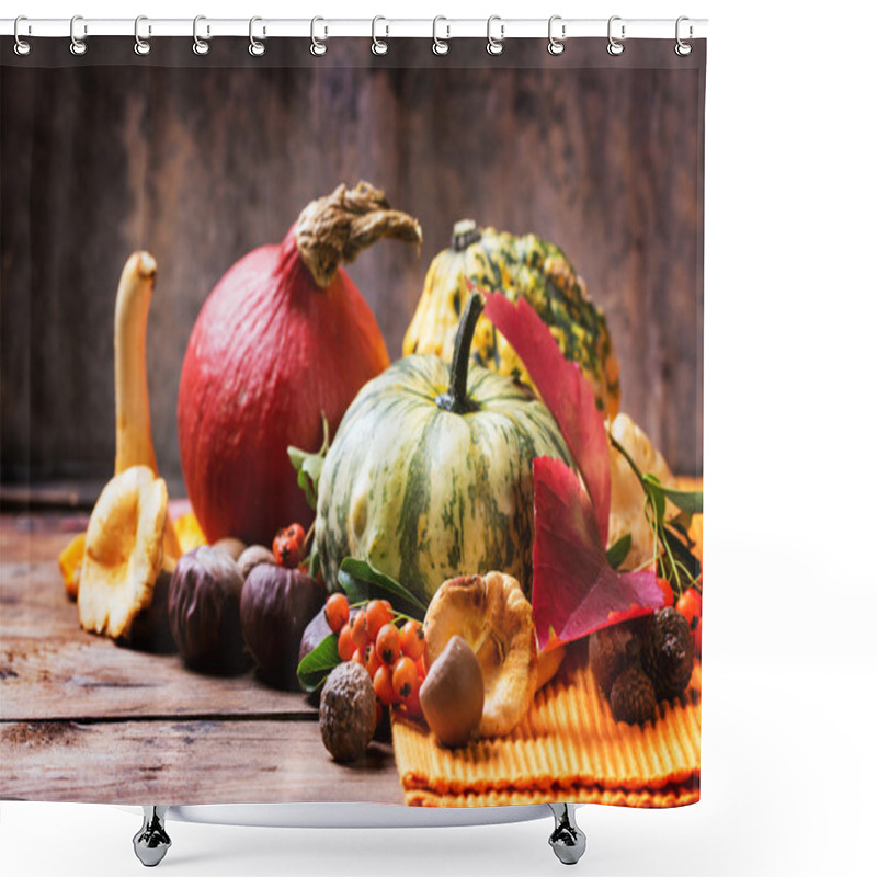 Personality  Pumpkins, Nuts And Berries Shower Curtains