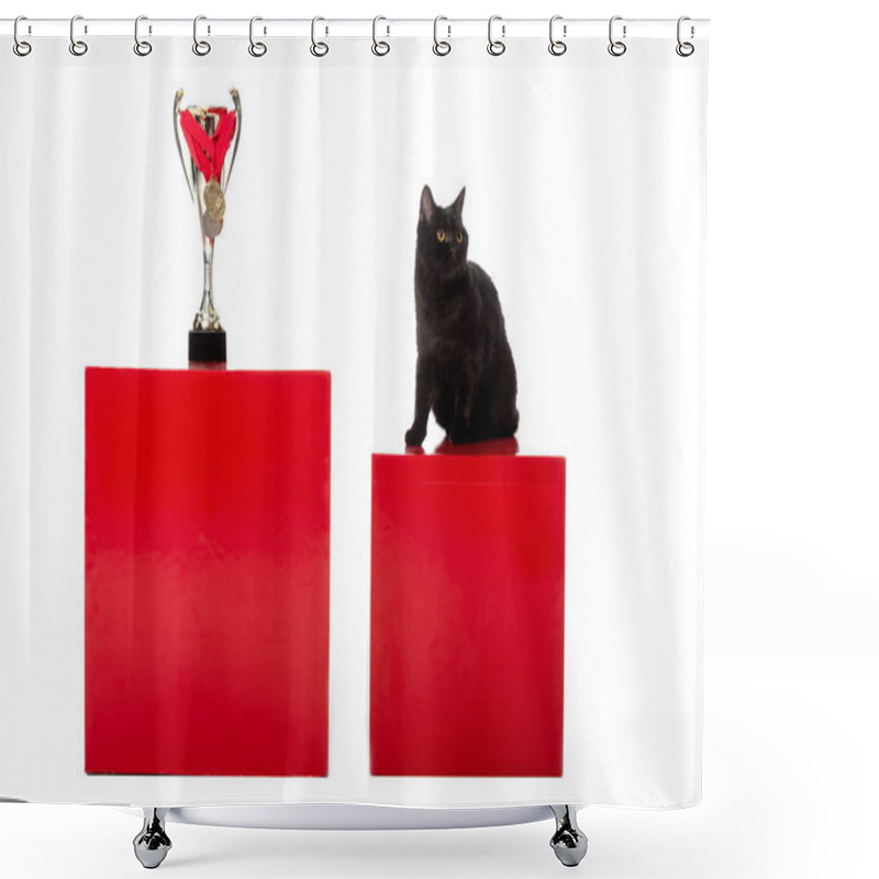 Personality  Black British Shorthair Cat Sitting On Red Cube Near Golden Trophy Cup Wrapped By Medals Isolated On White Background  Shower Curtains