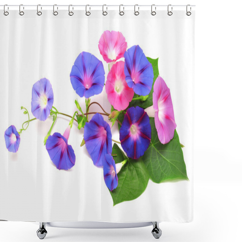 Personality  Blue And Pink Morning Glory With Leaf  Shower Curtains