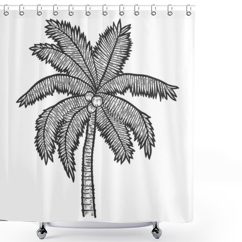 Personality  Exotic, Palm Tree With Coconuts. Sketch Scratch Board Imitation. Black And White. Shower Curtains