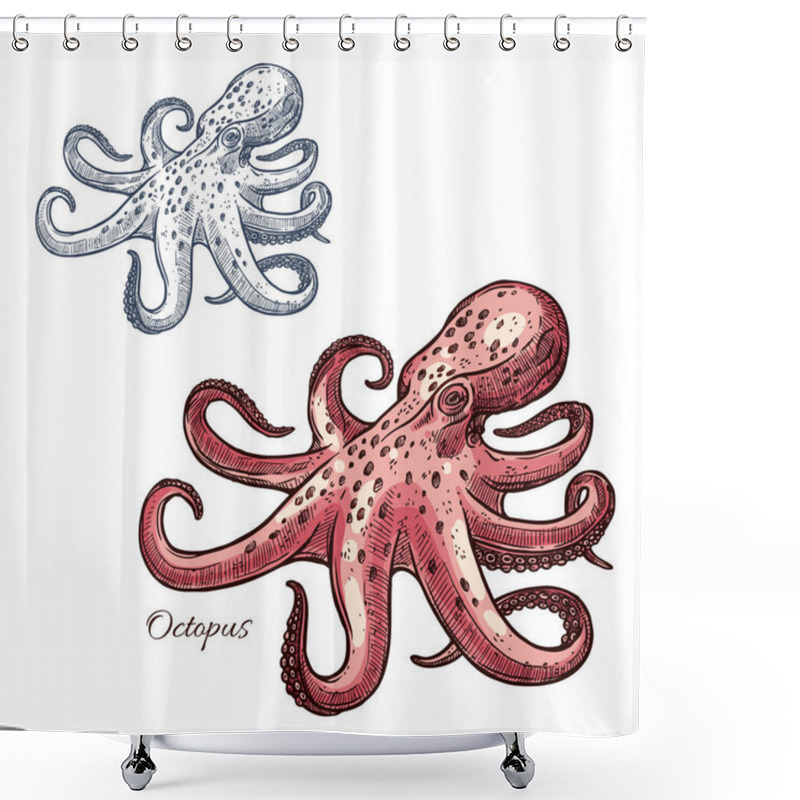 Personality  Octopus Isolated Sketch For Seafood Design Shower Curtains