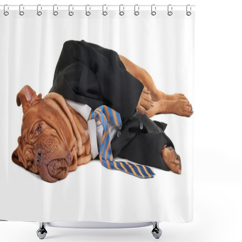 Personality  Tired Businessman Dog Shower Curtains