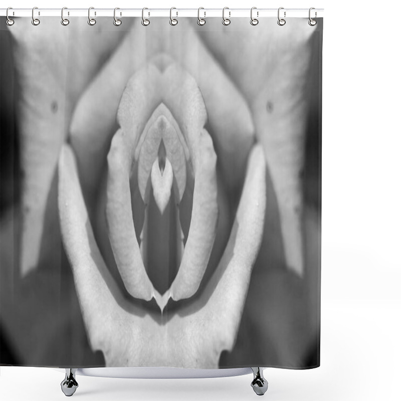 Personality  Symmetrical Black And White Photograph Of A Pink Flower That Emulates The Female Sexual Organ Shower Curtains