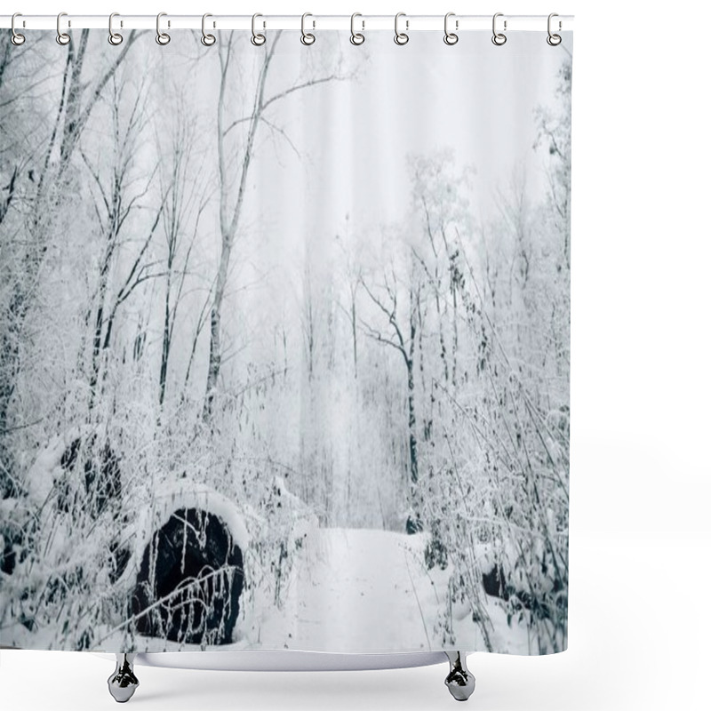 Personality  Beautiful Winter Forest Under White Cloudy Sky Shower Curtains