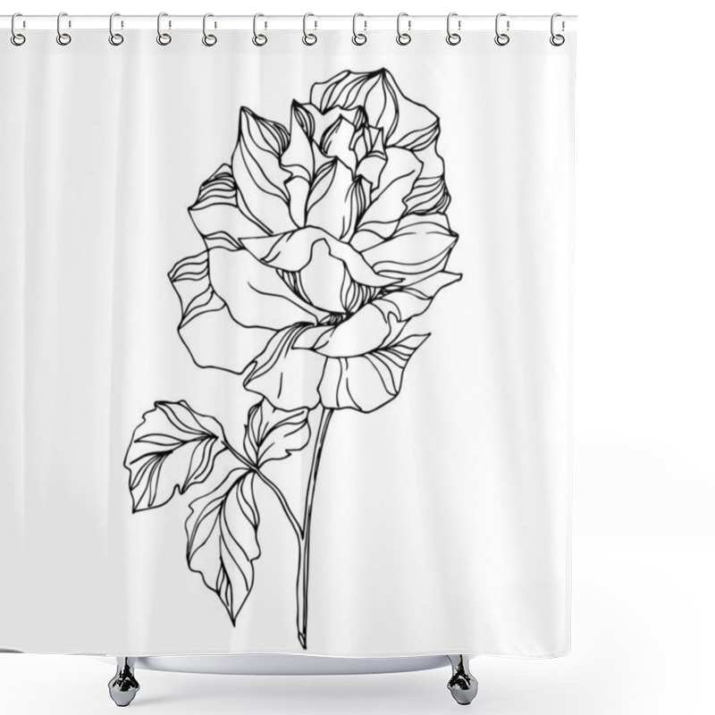 Personality  Vector Roses Floral Botanical Flowers. Black And White Engraved Ink Art. Isolated Rose Illustration Element. Shower Curtains