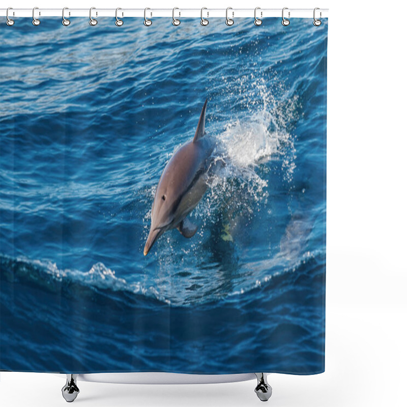 Personality  Dolphin Jumping Out Of The Water Shower Curtains