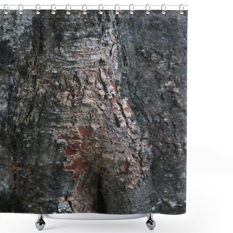 Personality  Wooden Bark In The Garden , Close Up Texture  Shower Curtains